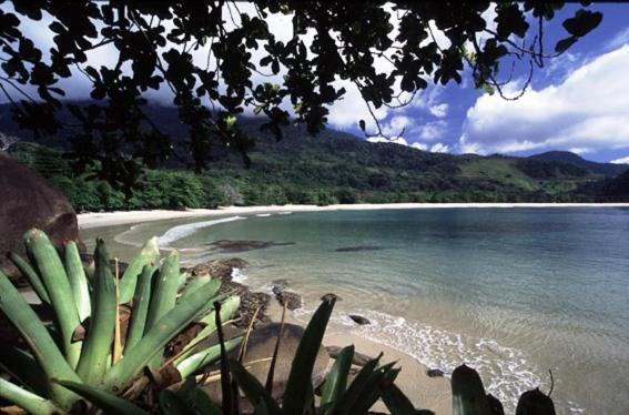 Recanto Tangara - Chale - Praia Do Felix Убатуба Экстерьер фото